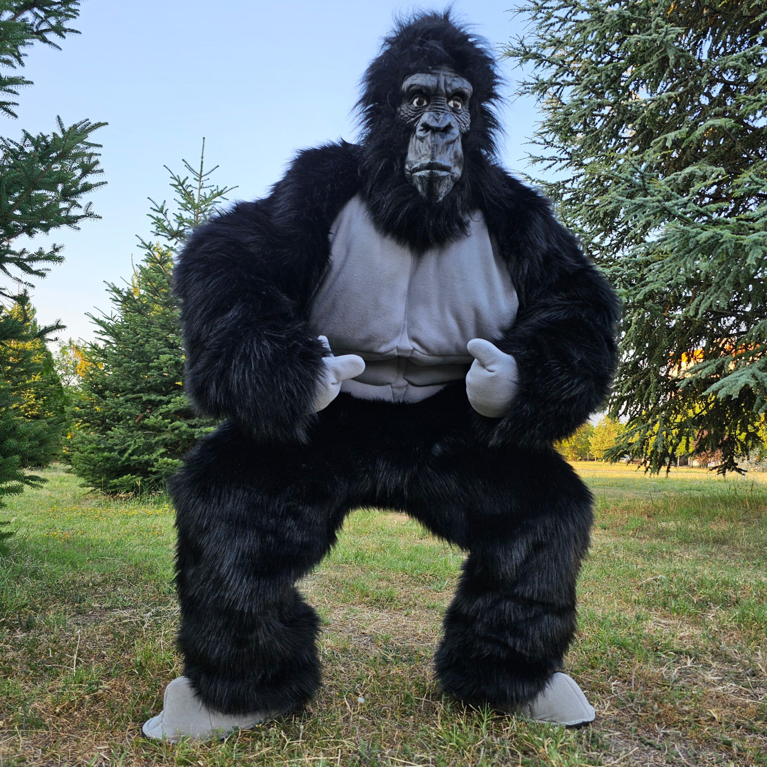 Mascot costumes